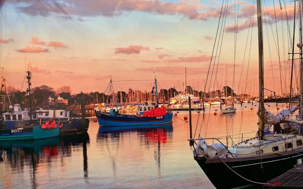 Shorefield Country Park, Where The New Forest Meets The Sea, Passes For All Entertainment Included Milford on Sea Exteriör bild