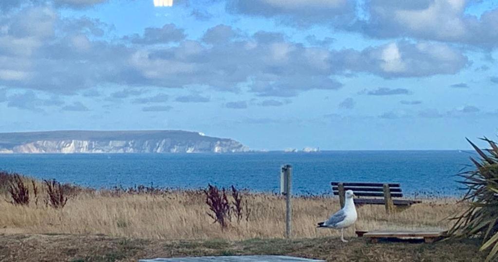 Shorefield Country Park, Where The New Forest Meets The Sea, Passes For All Entertainment Included Milford on Sea Exteriör bild