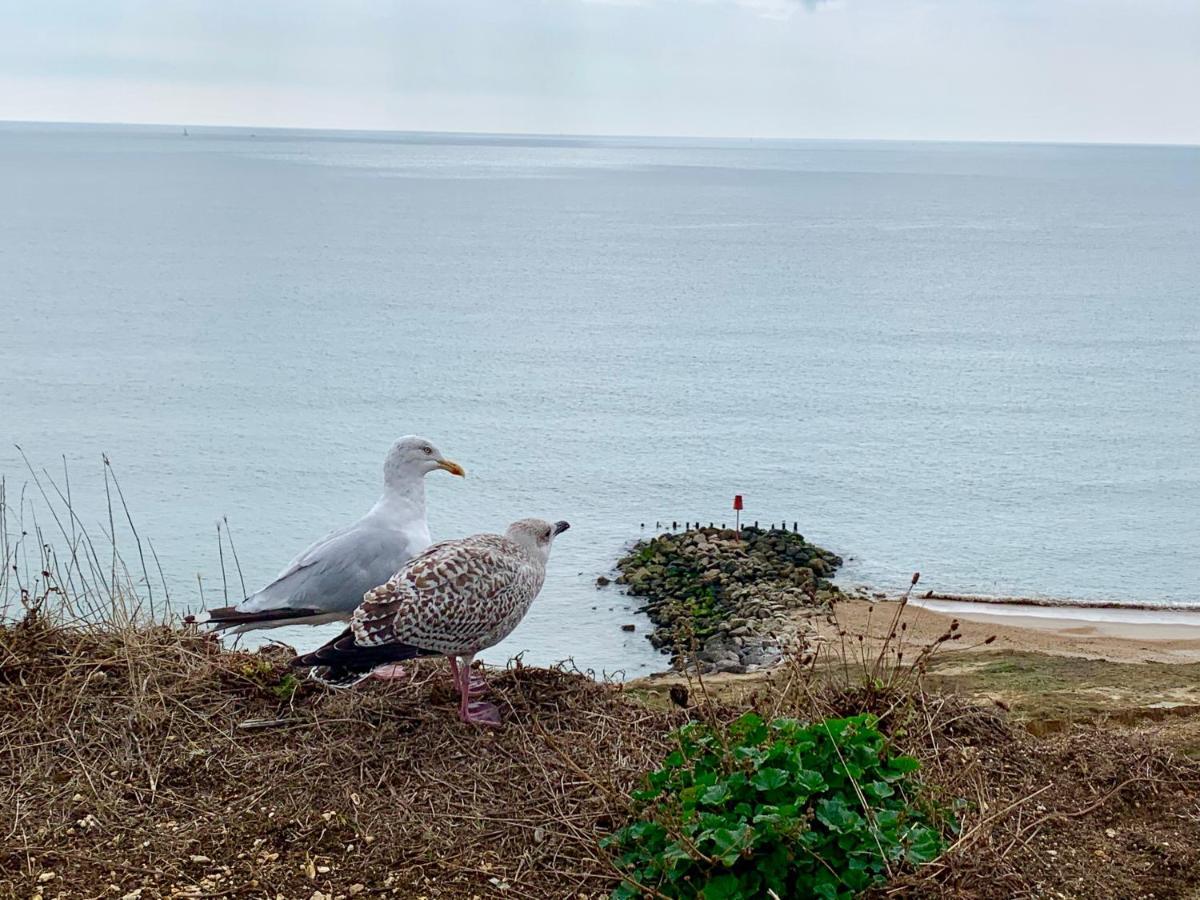 Shorefield Country Park, Where The New Forest Meets The Sea, Passes For All Entertainment Included Milford on Sea Exteriör bild