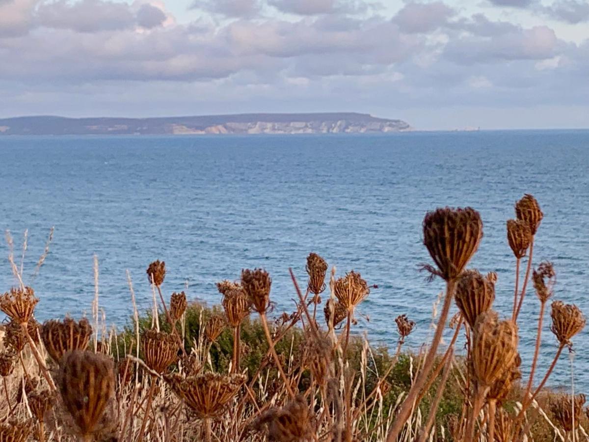 Shorefield Country Park, Where The New Forest Meets The Sea, Passes For All Entertainment Included Milford on Sea Exteriör bild